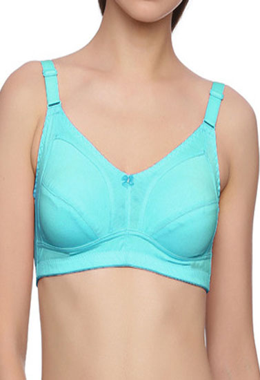 "Hushh" Sky Blue Plus Size Regular Use Bra
